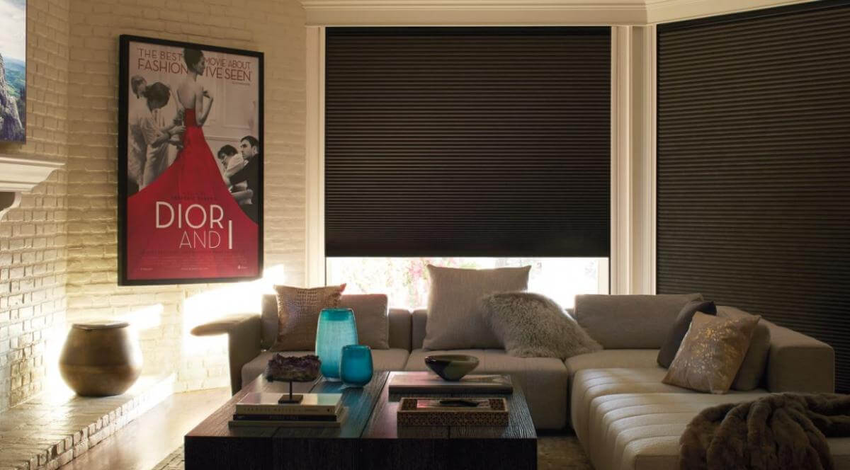 Questions You Should Ask About Window Shades