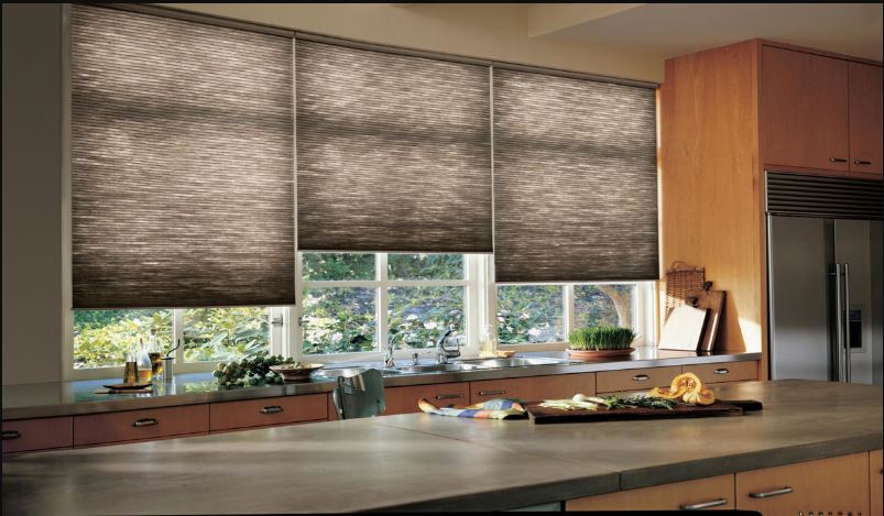 What to Expect from Reputable Window Shades Company